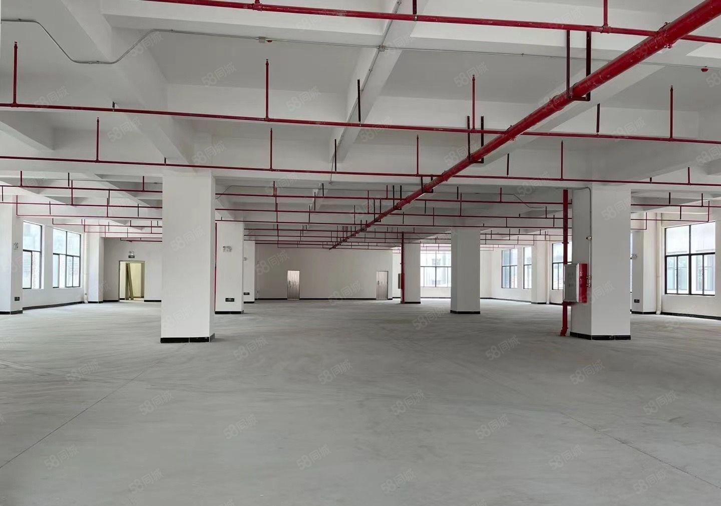 长安 霄边临深全新高新产业园带红本2000平方起分形象好