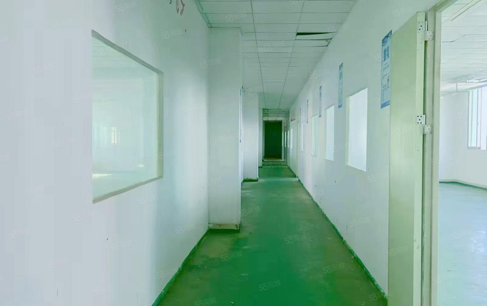 长安乌沙厂房出租经典小独院2000到7000平