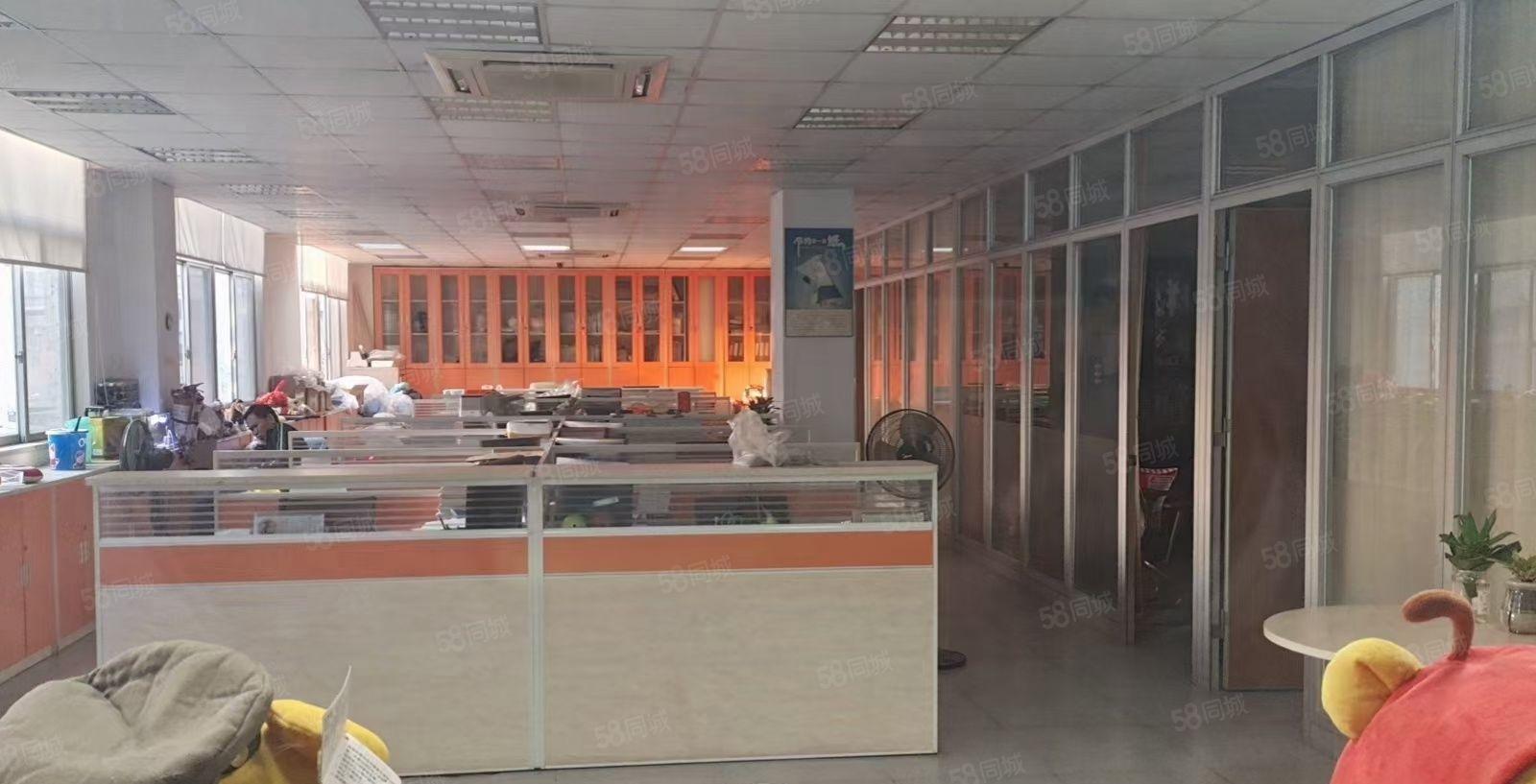 长安镇新安广深高速路口新出独院8600平厂房出租 大小可分租