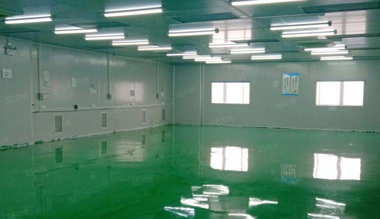 长安街口无尘车间厂房2400平，2部3吨货梯紧靠广深高速路口