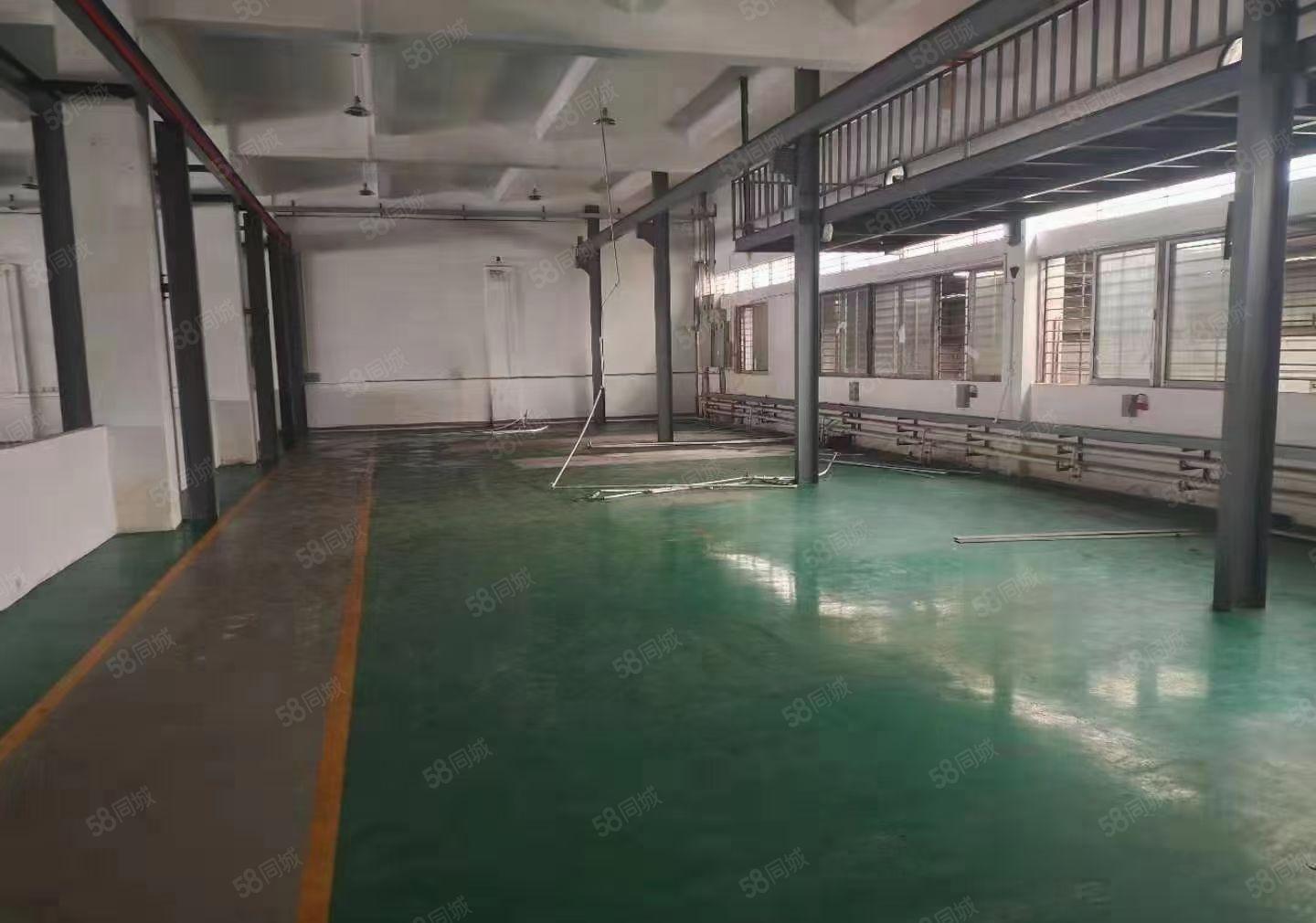 （厂房出租）长安镇沙头社区原房东楼上整层1400平方 公摊小