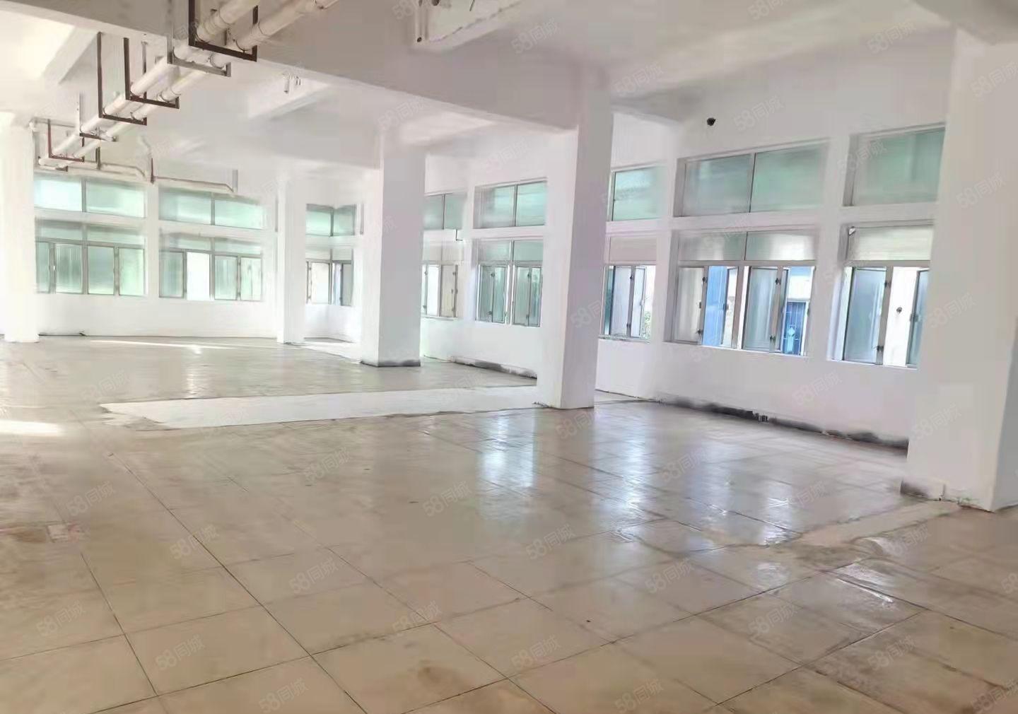 长安镇新空出小独栋超低价1350平可分租水电齐全厂房出租