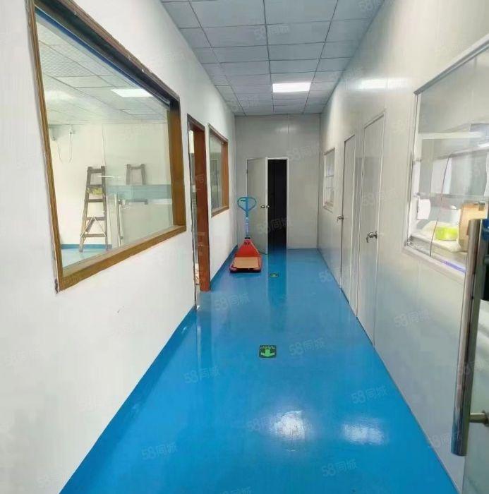 长安乌沙二楼空出1050平精装修厂房出租，带前台办公室