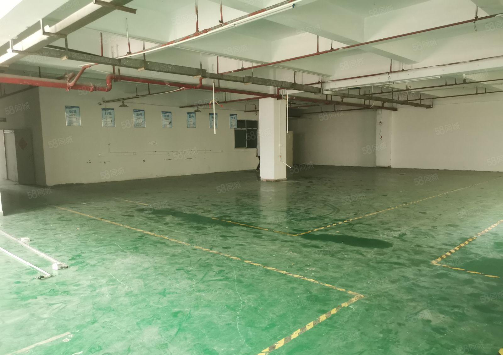 厦边新出楼上1100平方精装修厂房招租