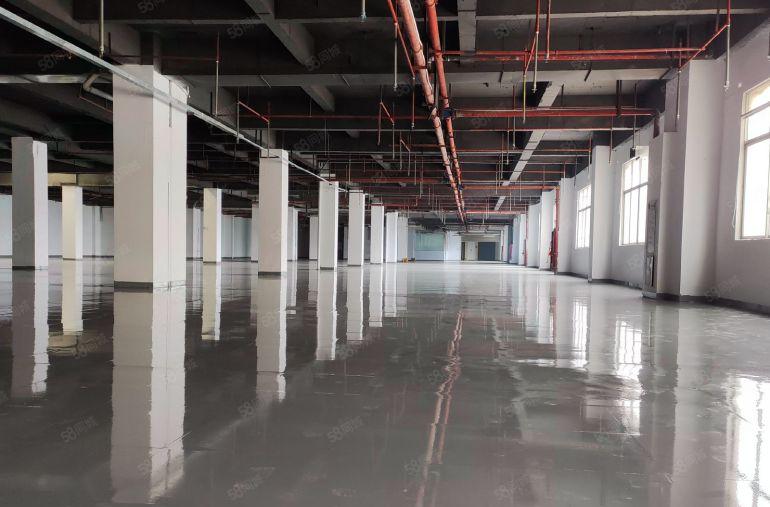 长安4560平全新地坪漆厂房业主直租，可分租价格便宜