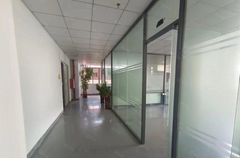 沙头社区新出楼上550平，精装修厂房，豪华办公室原房东出租