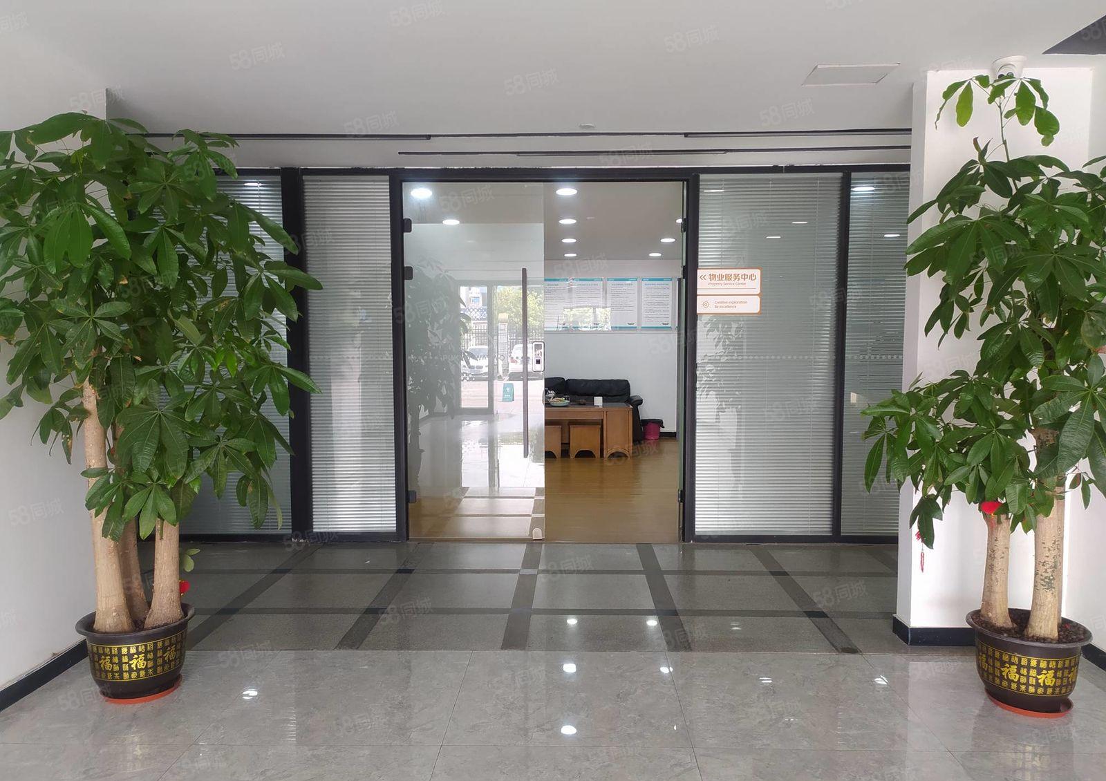 临界深圳 长安锦厦河南工业区 1200平厂房出租 模具 电子