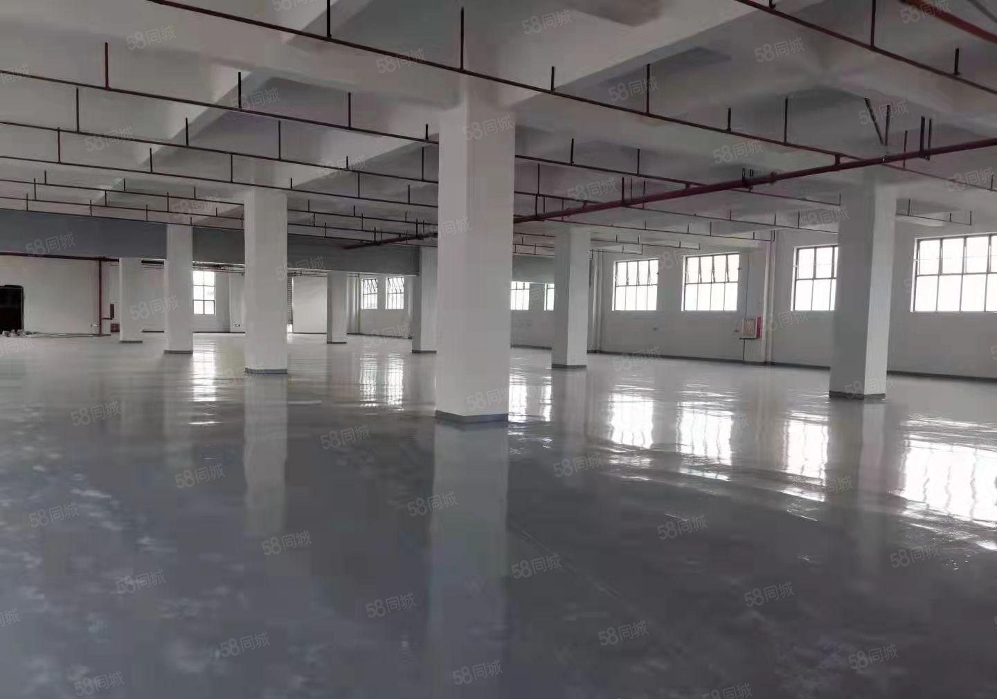 长安临近厚街新出独门独院标准厂房出租，形象地理位置优越