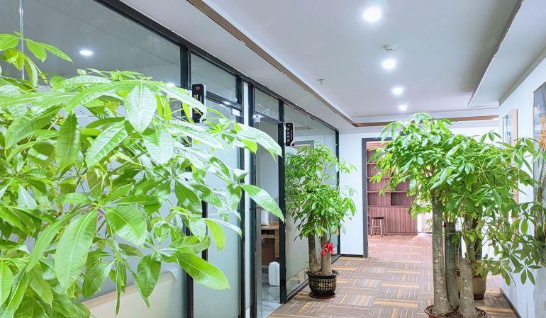 长安全新无尘车间出租，精装修，无转让费，4900平，15元