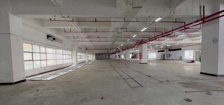 长安沙头原房东独院8000平厂房出租 可整租可分租