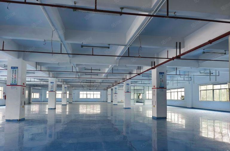 长安增田新安横中路新出一手房东楼上实际1900平方厂房出租