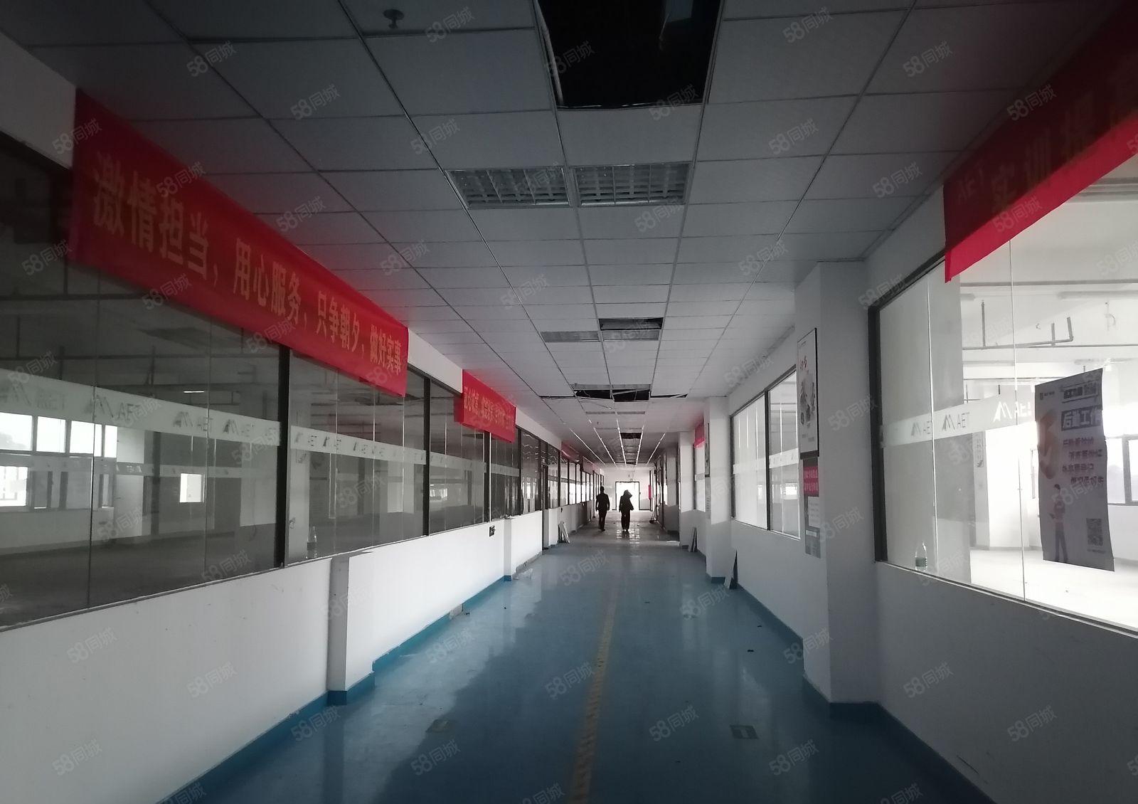 长安全新原房东红本独院厂房出租，靠近深圳，可办环评