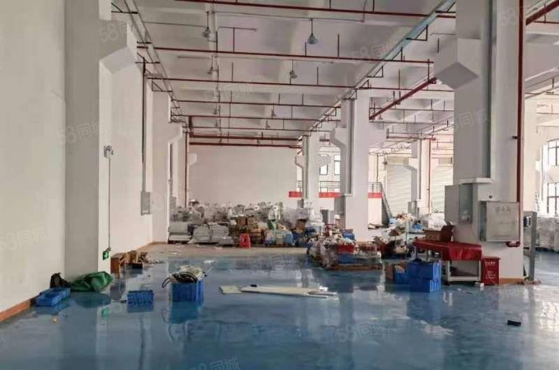 新出一楼厂房4500平6.5米高可分租形象好空地超大