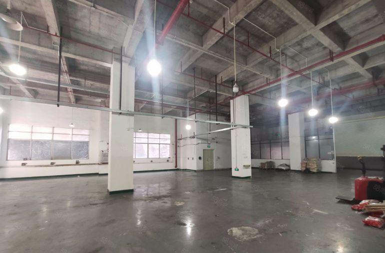 一楼500平18块 长安新安社区低价厂房出租