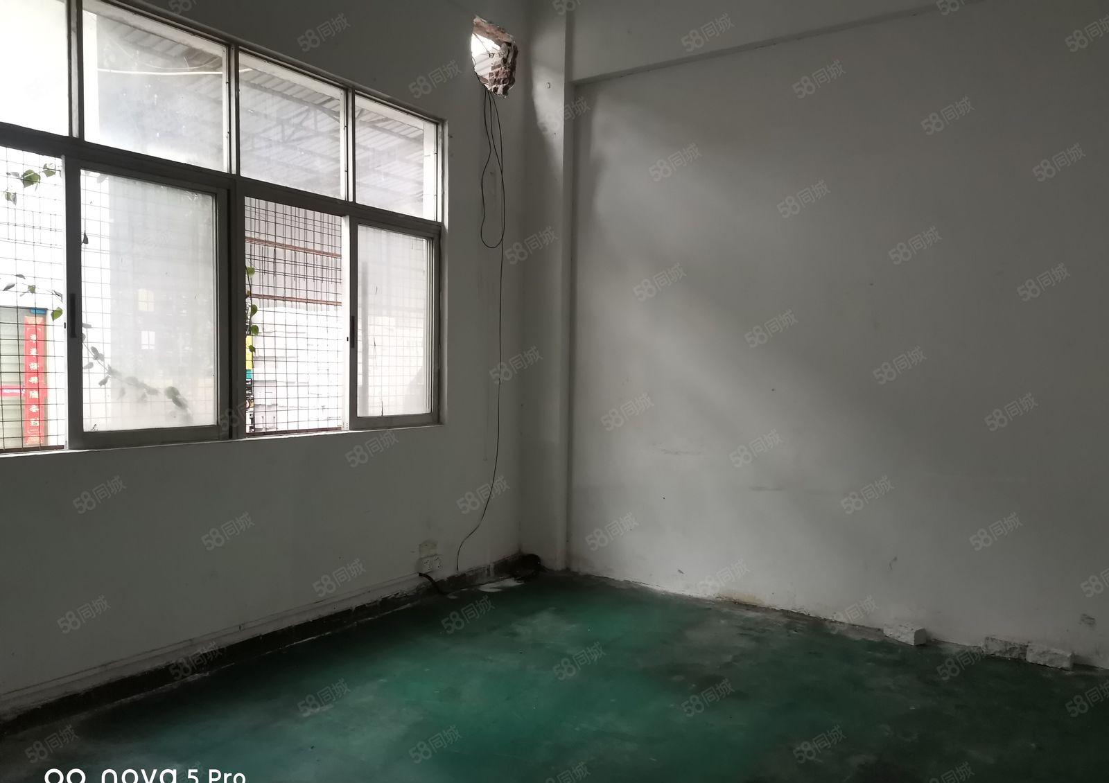 长安乌沙大润发附近标准厂房一楼300方，带办公室装修主线