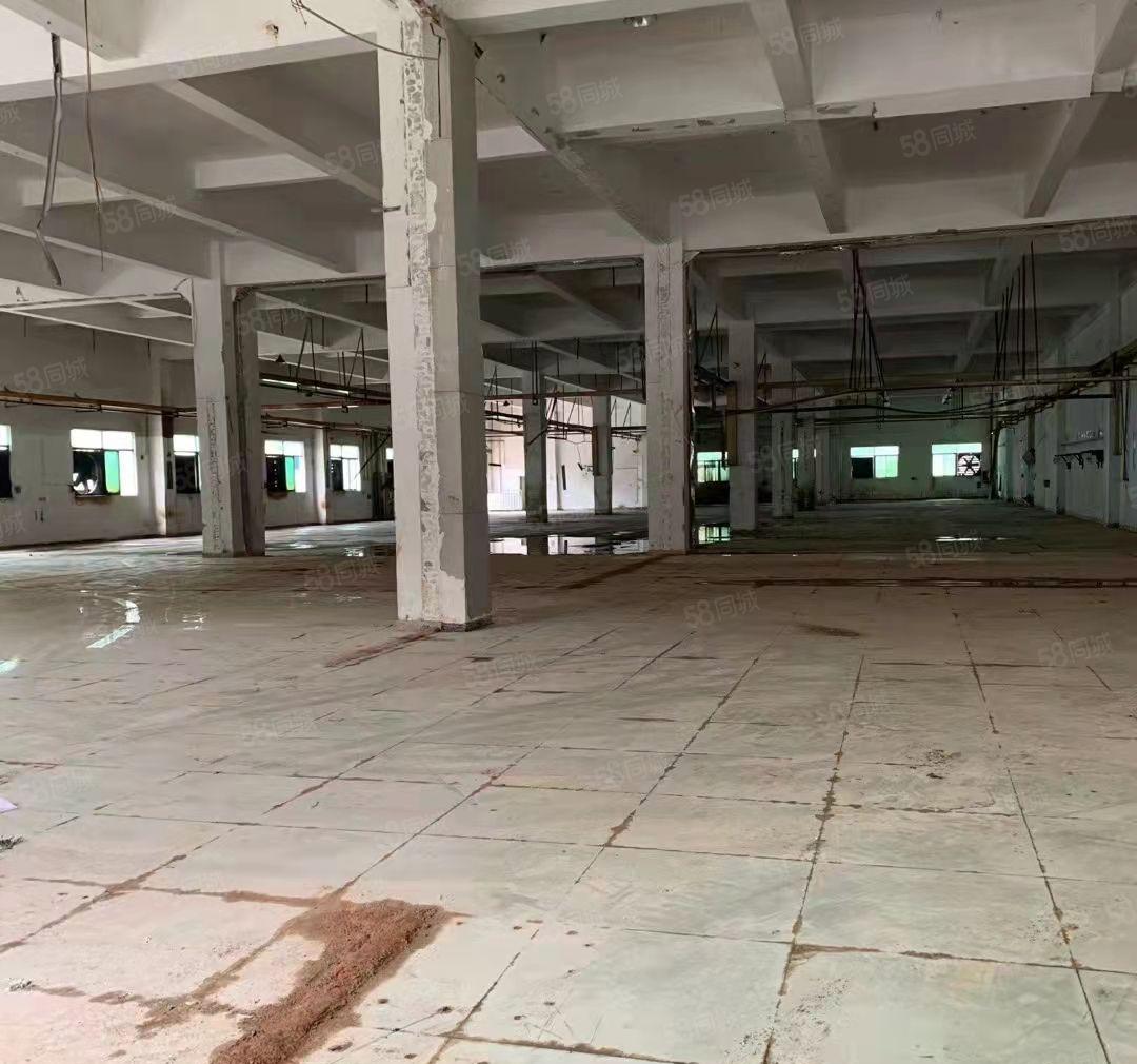 长安镇沙头新出标准厂房一楼4500平厂房出租高6.5米可分租