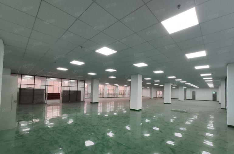 长安沙头南区新空出三楼1300平全新精装修工业厂房出租