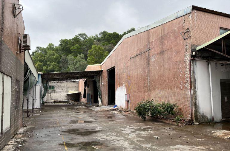 桥头靠近惠州新出单一层砖到顶钢结构2800平方，底价出租