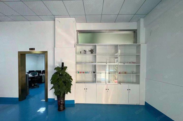 长安乌沙带行车一楼整层1000平豪华装修注塑厂房