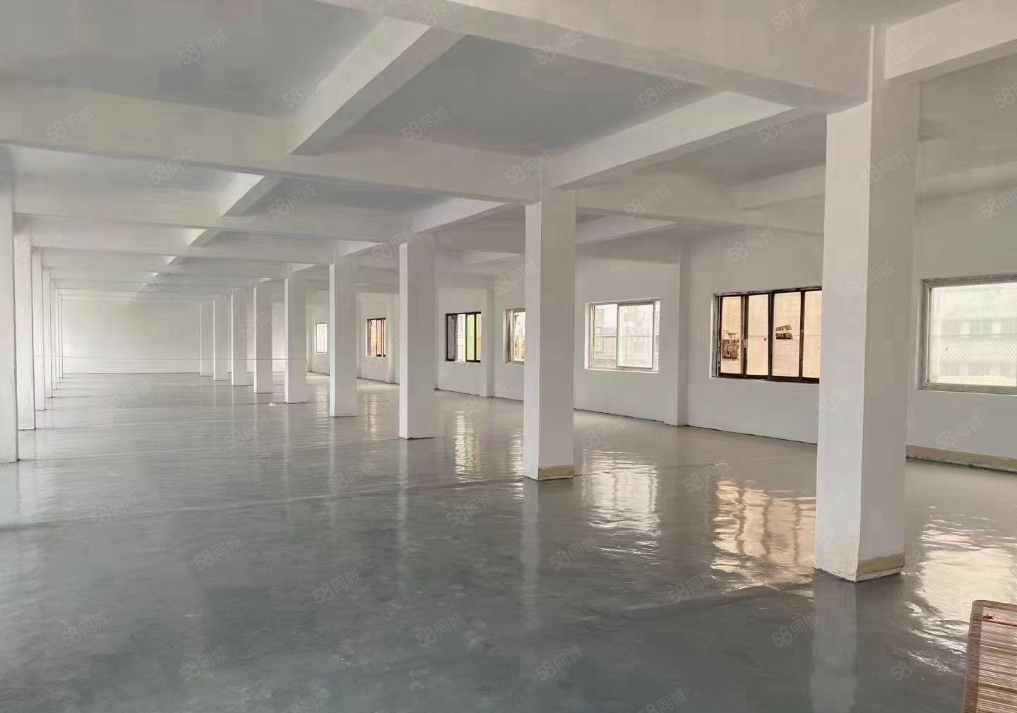 长安镇厦边新出独门独院厂房出租3600平可办环评大小可分租