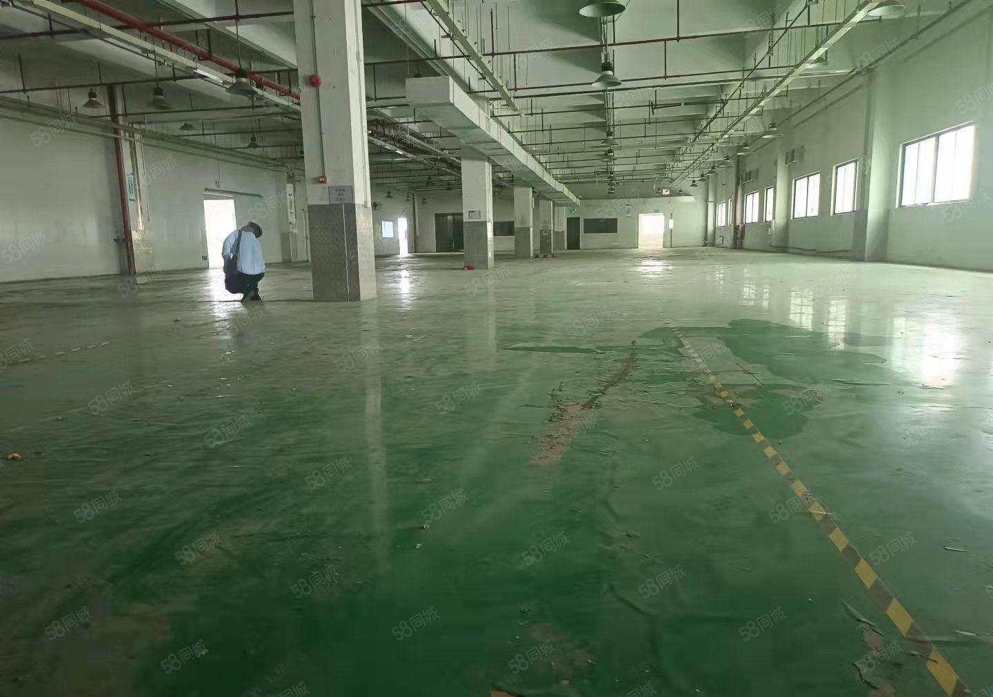 可办环评 长安镇宵边社区新空出二楼5000平方标准厂房出租