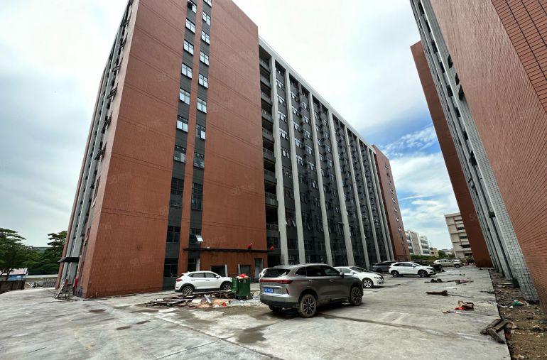 长安镇全新原房东厂房出租，一楼2000平方，层高6米带牛角