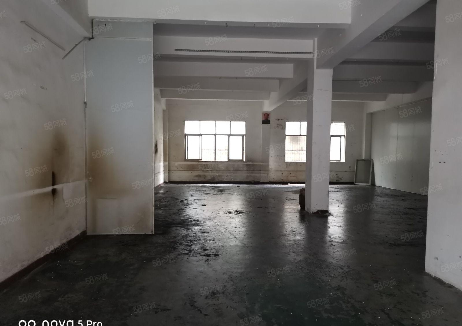 长安乌沙大润发附近标准厂房一楼300方，带办公室装修主线