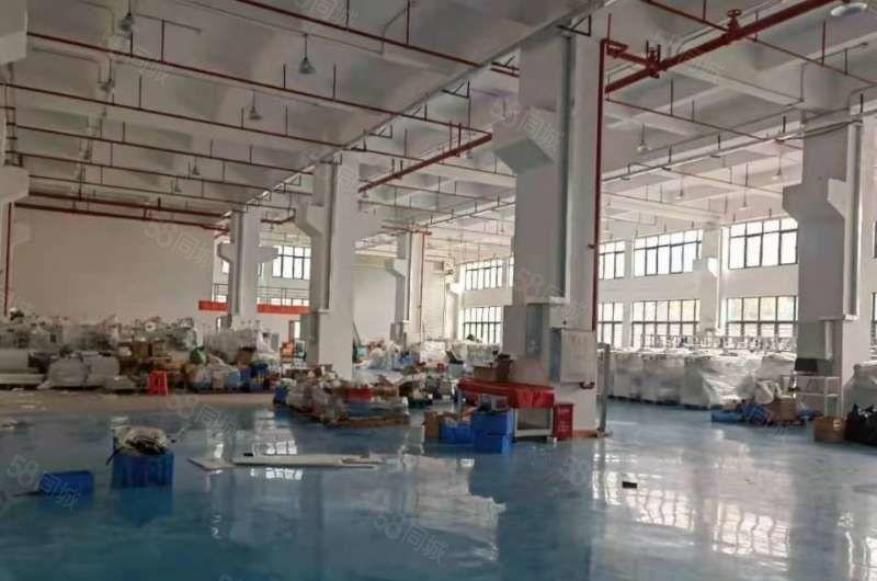 沿江高速口一楼厂房1600平6米高带牛角形象好空地超大