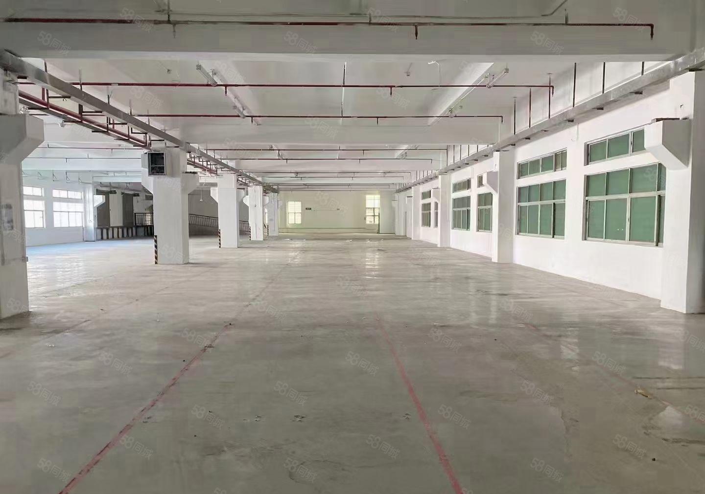 长安镇沙头独院厂房招租3000平喷油喷粉烤漆行业大小可分租