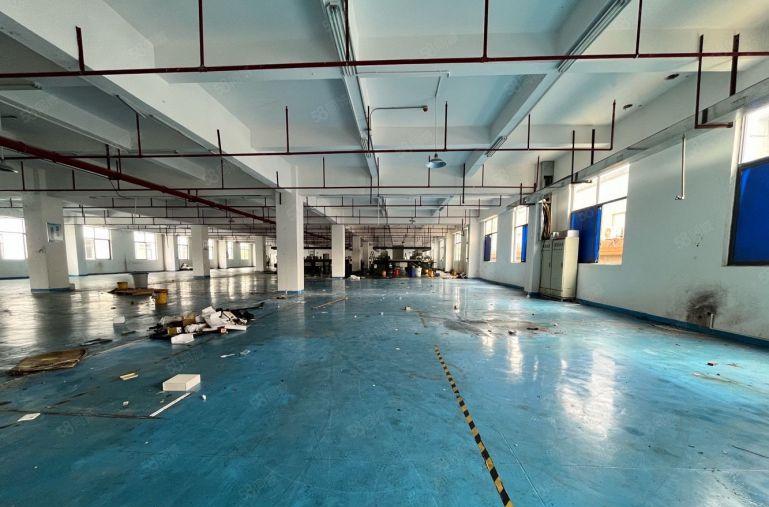 长安沙头精装修1500平厂房出租 可分租 模具 五金