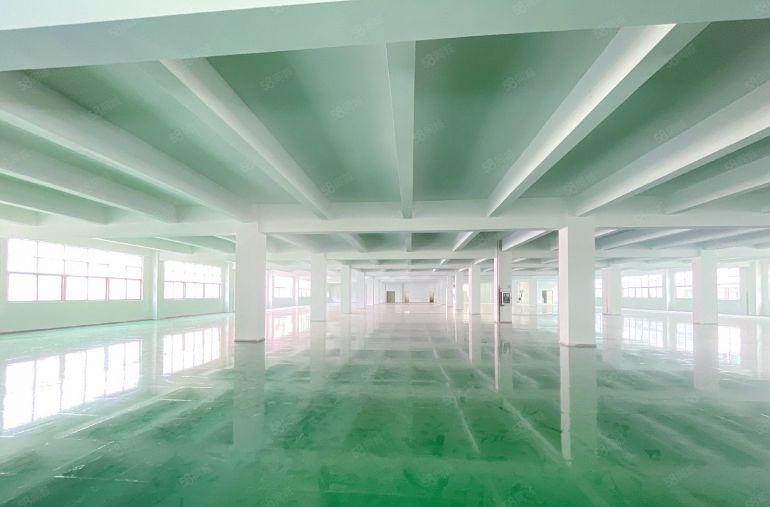 沙头南区楼上4800平，260平起分租，光线好，停车位多