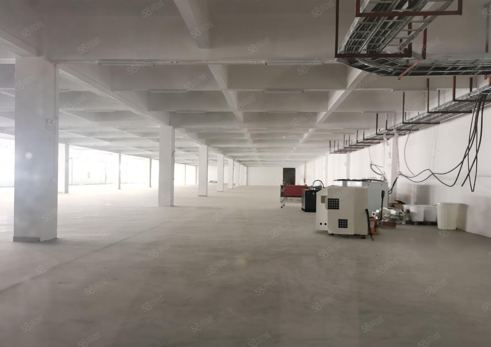 带超声波，印刷，喷油，洗水，喷涂，丝印环保批文厂房出租