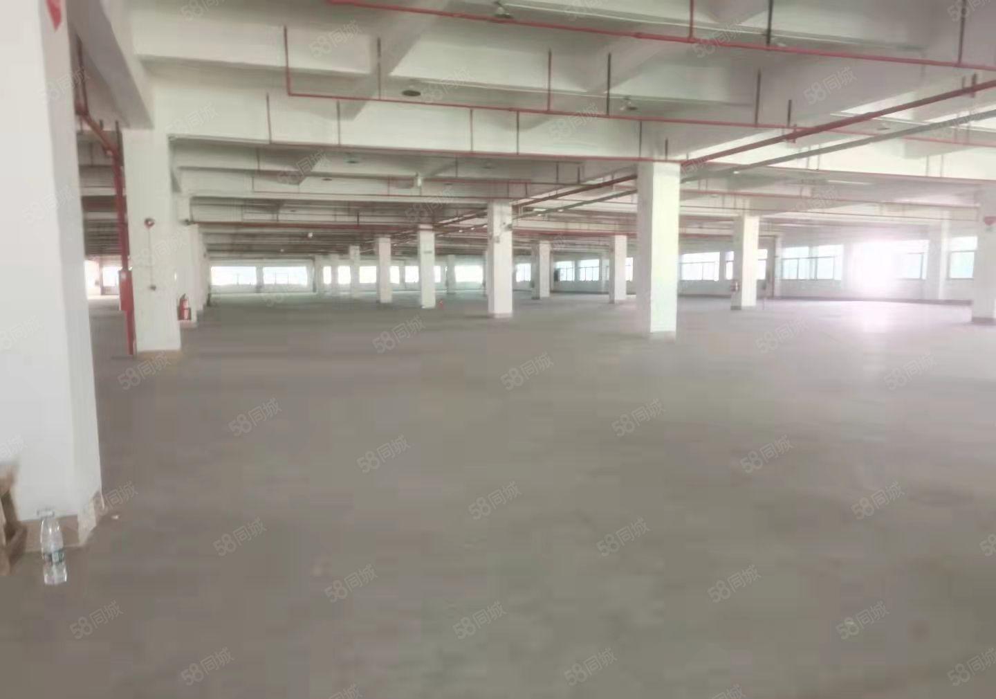 长安镇独院厂房出租，25000平，国有证厂房，可以办环评证