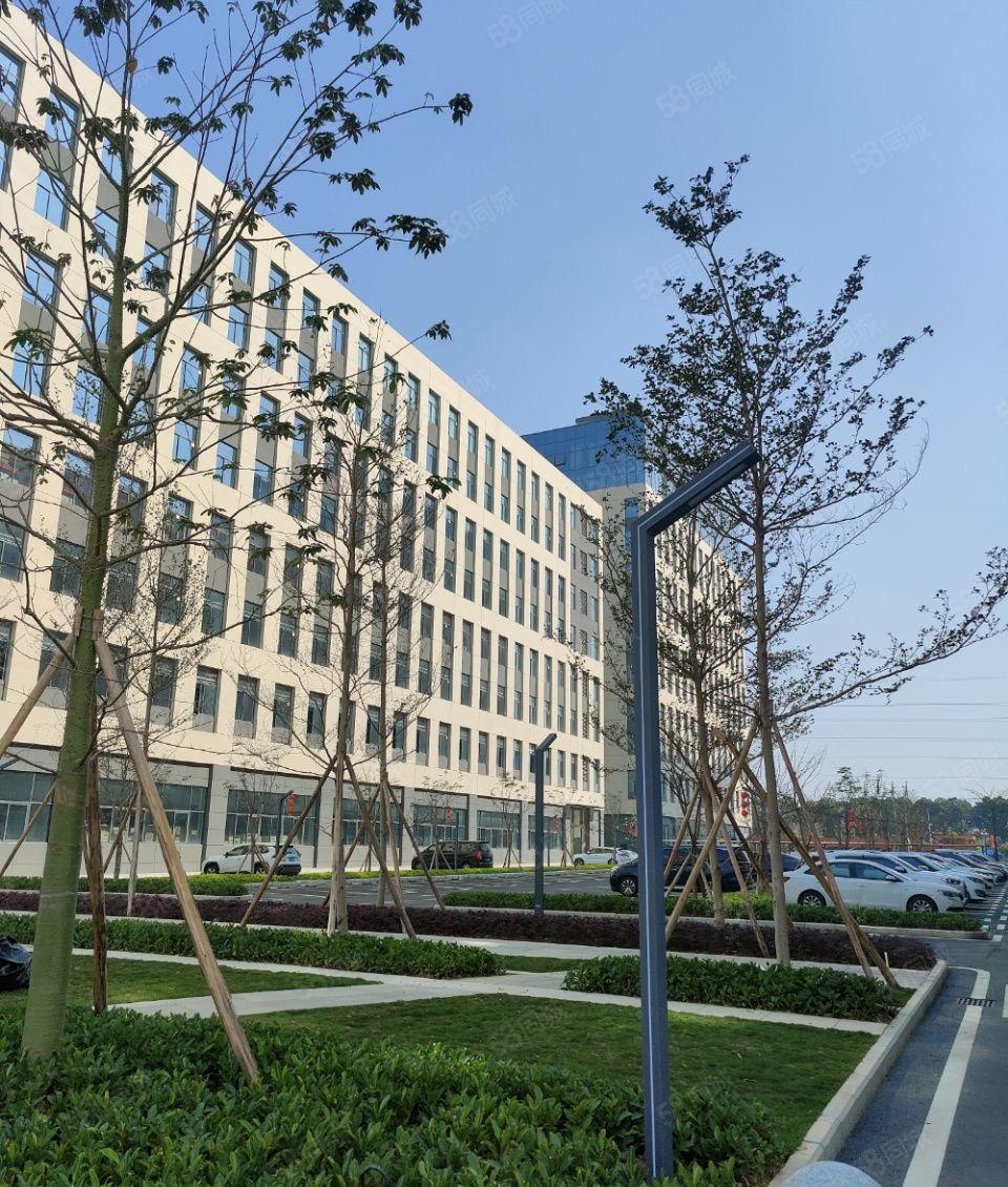 长安带红本丙一类消防国土证1500平起工业全新厂房出租