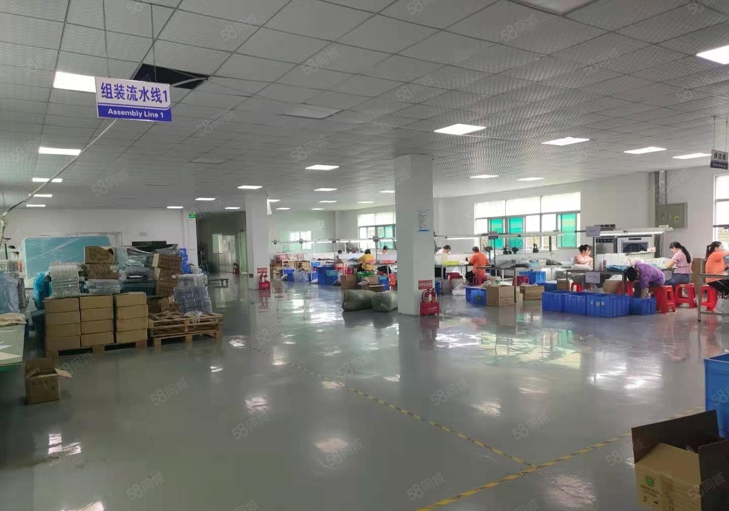 长安靠近深圳新出原房东厂房出租7500平带装修可办环评