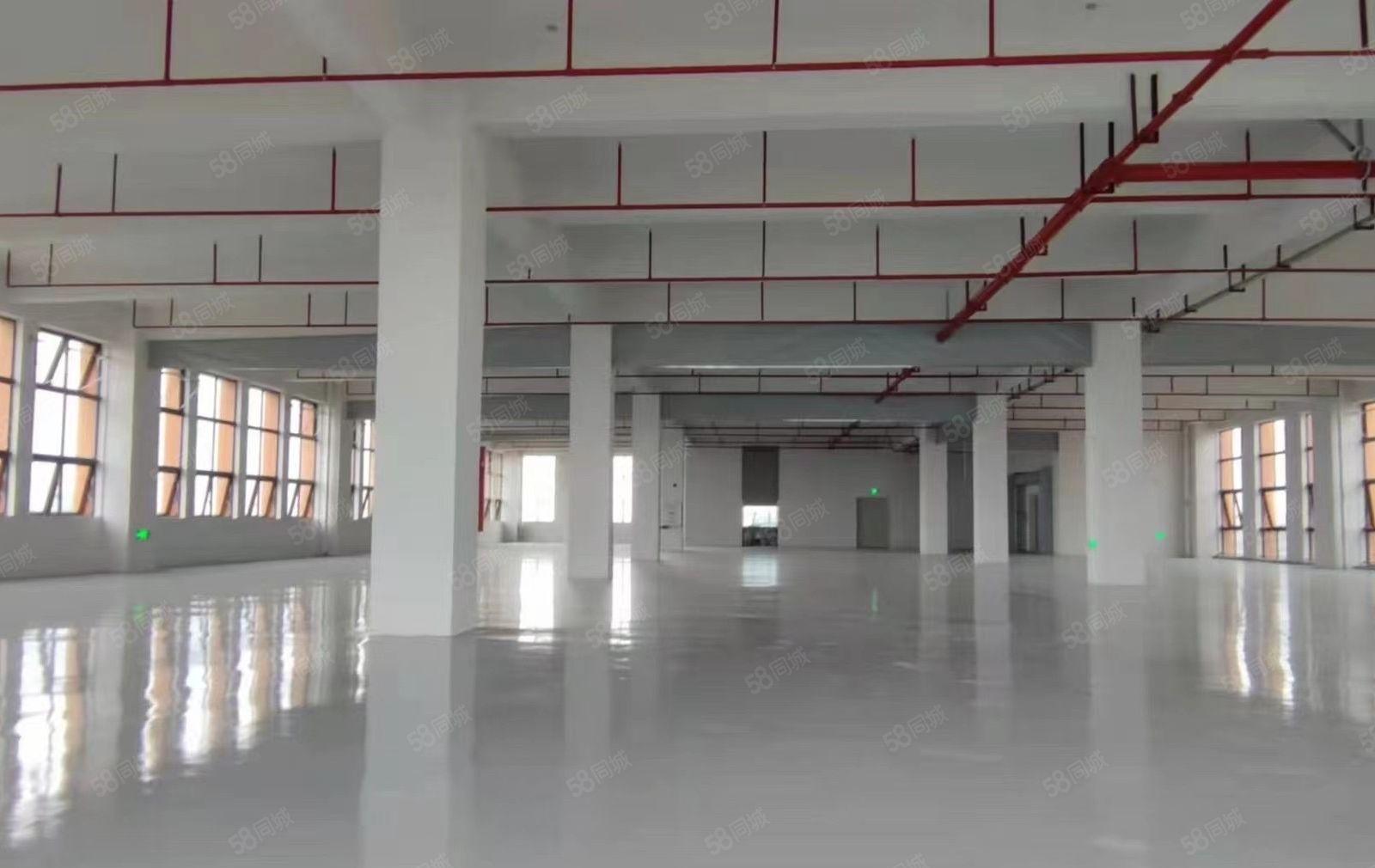 长安 霄边临深全新高新产业园带红本2000平方起分形象好