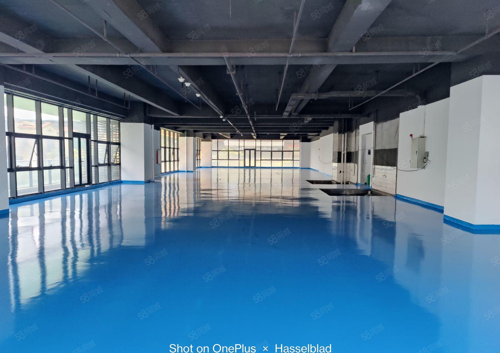 500起租长安临深高新园区全新厂房出租可生产可办公近高速路口