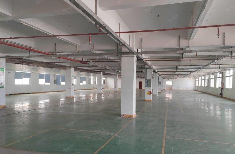 长安镇原房东一二楼厂房出租形象好单层面积3000平可分租6米