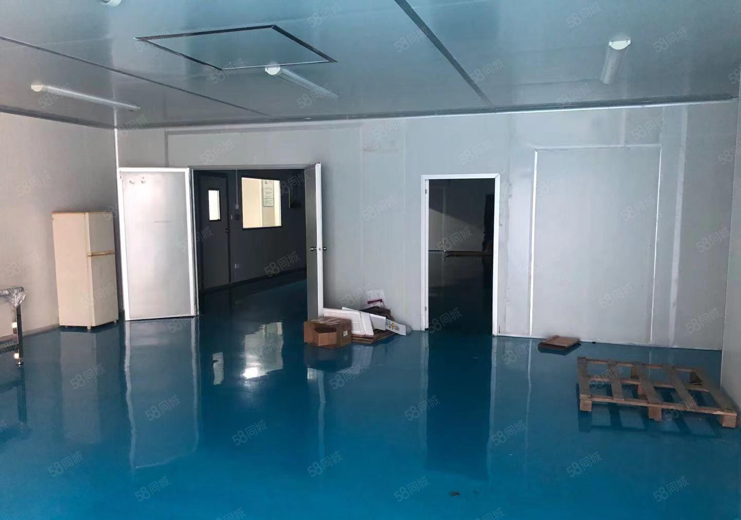 长安镇原房东红本独门独院厂房37000平方，宿舍13000平