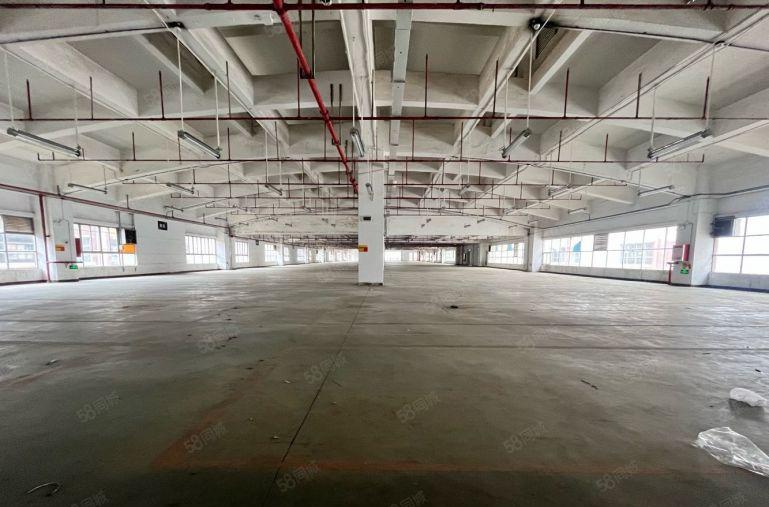 仓库 长安沙头 沿江高速3000平厂房出租 可分租 低价出租