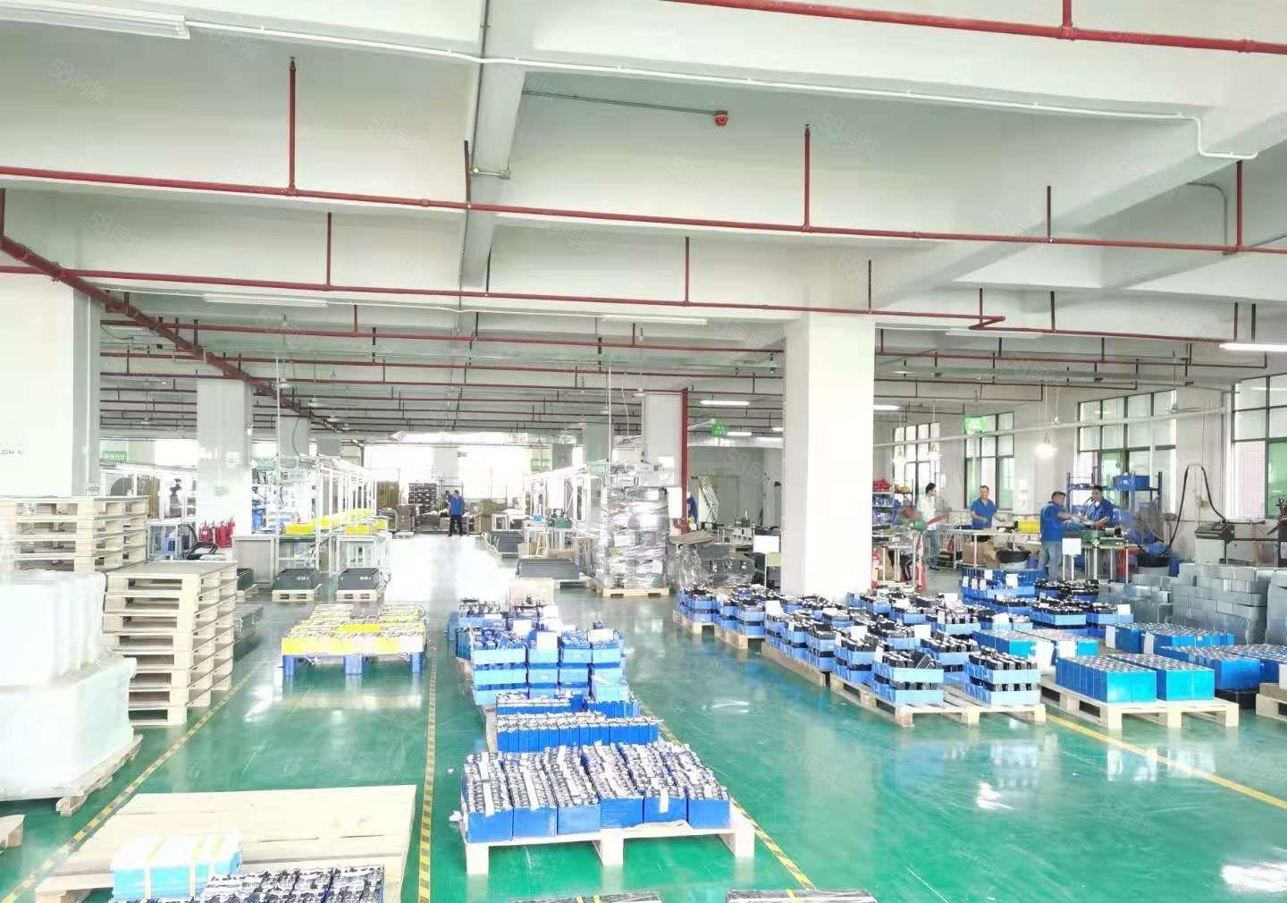 出租长安沙头东大街附近，一楼1200平，价格优惠