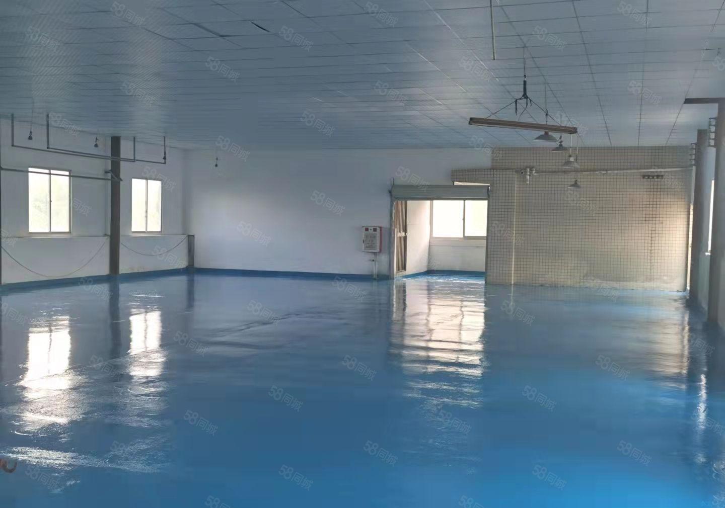 长安厦边新出四楼面积800平方，全新装修，水电到位，