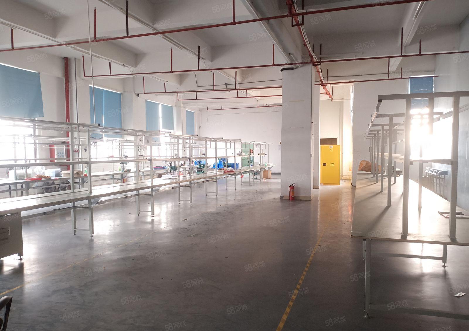 长安乌沙新出楼上1100平精装修厂房出租