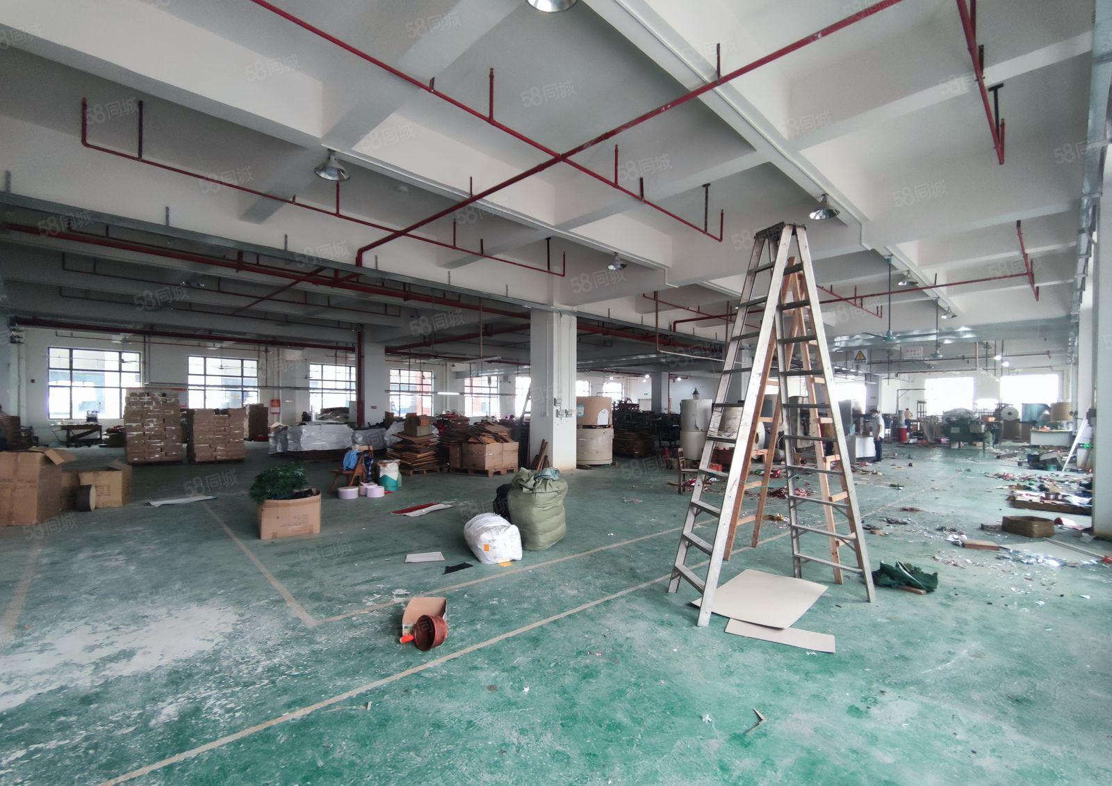 长安镇沙头社区原房东独门独院标准厂房出租4800平米