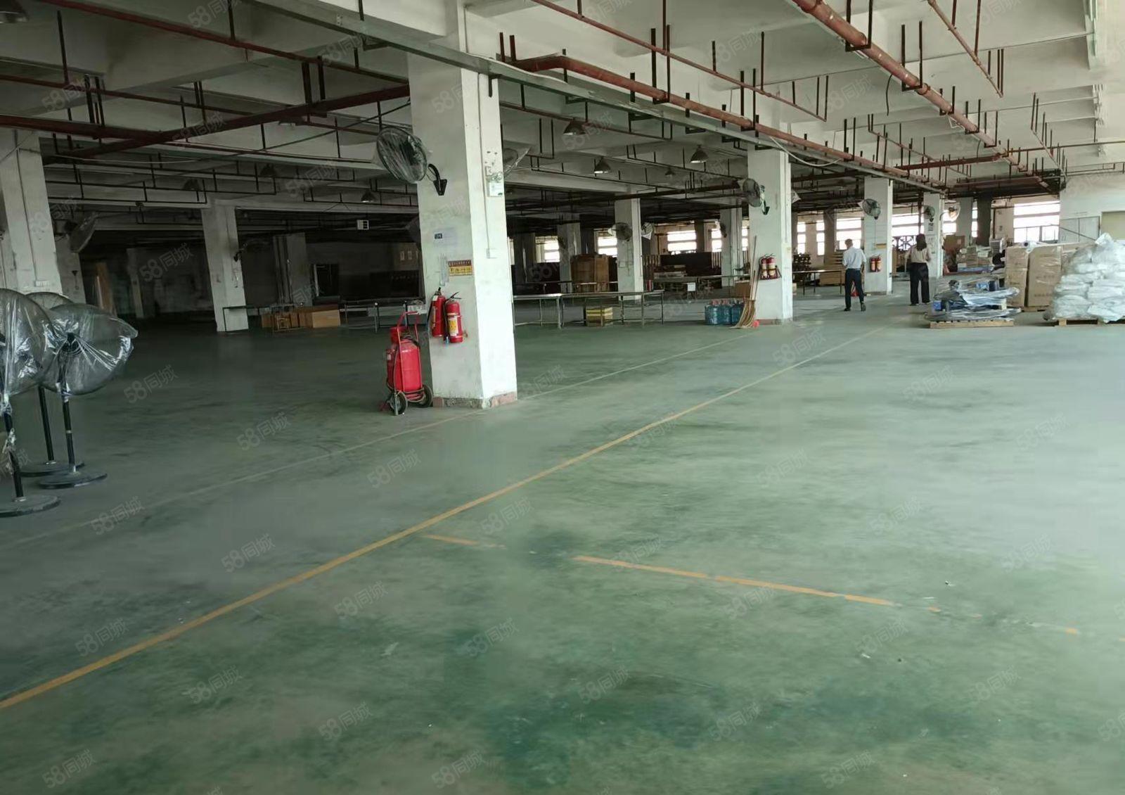 急租，低租金 长安镇锦厦新出楼上厂房11000平出租 可分租