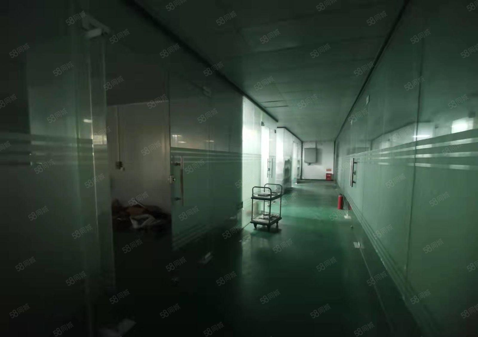 公摊小 长安镇涌头社区新出楼上1000平方厂房出租 无杂费