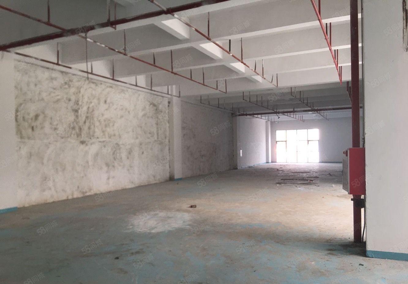 太安路旁边 易招工空地大 带精装修大小可分水电齐全 临近深圳