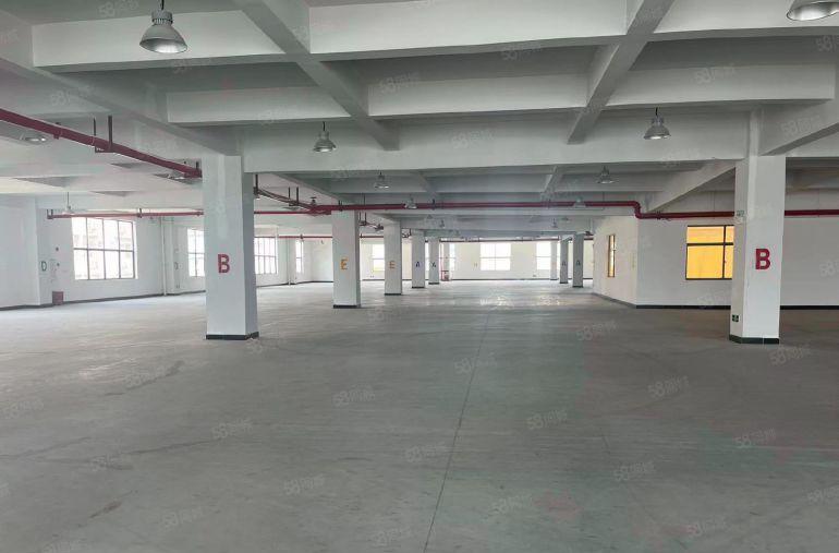 长安镇高速路口附近宵边村一首房东标准厂房独院二楼6500出租