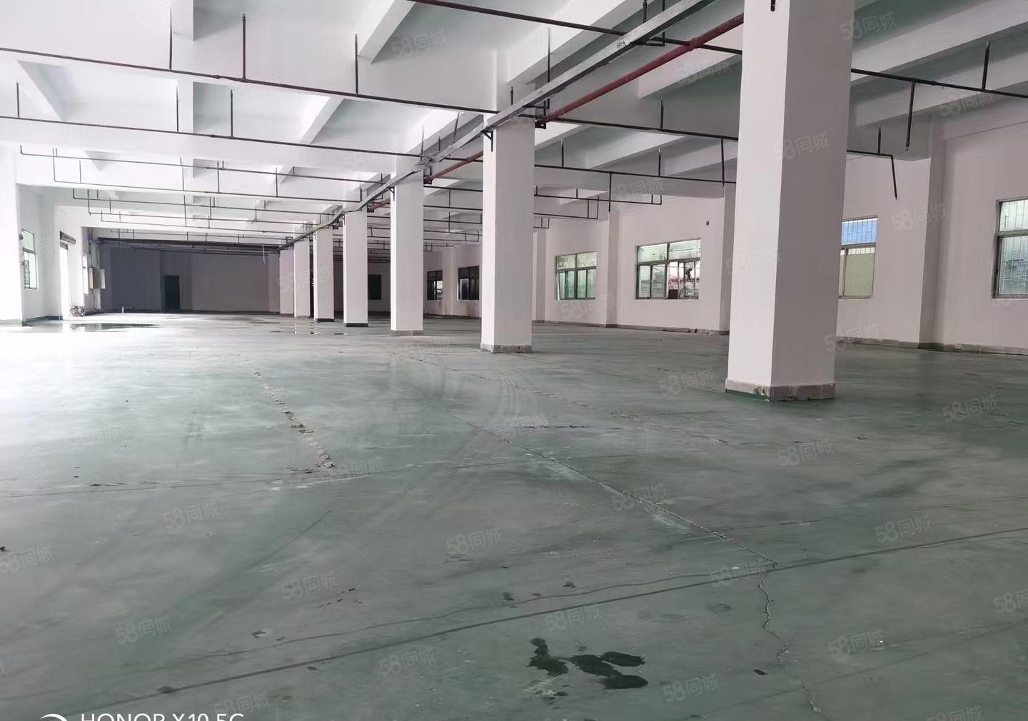 豪华装修水电齐全标准重工业厂房分租整租