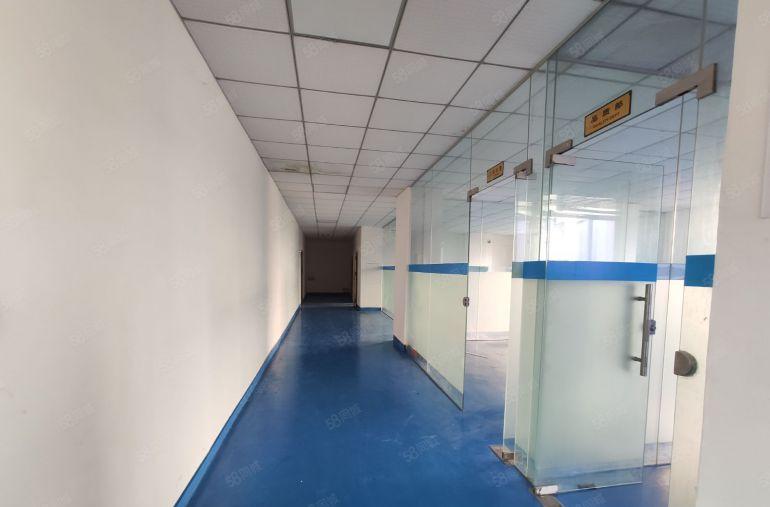 长安沙头南区附近楼上整层750平现成装修带拉线工业厂房出租